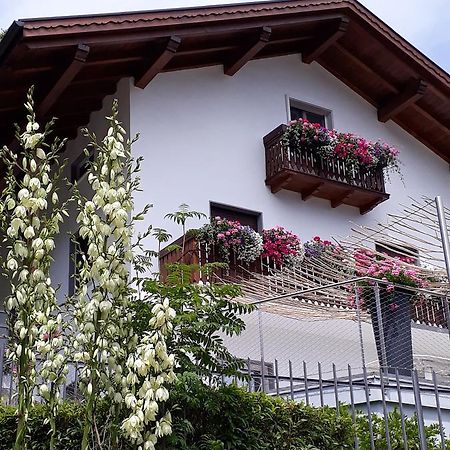 Bed and Breakfast Sameca Tione di Trento Exterior foto